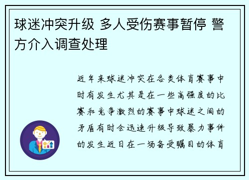 球迷冲突升级 多人受伤赛事暂停 警方介入调查处理
