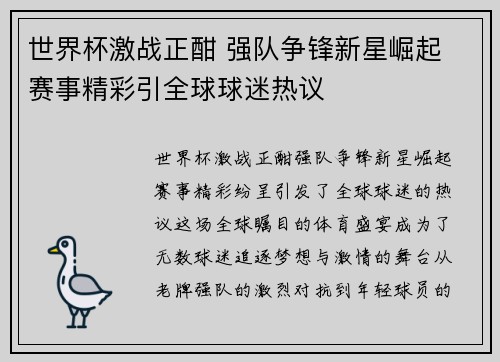世界杯激战正酣 强队争锋新星崛起 赛事精彩引全球球迷热议